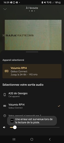 Screenshot_20250513_163922_Qobuz