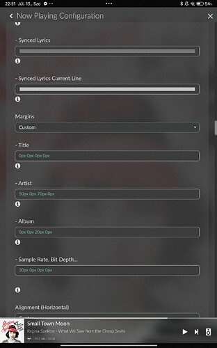 Screenshot_2024-07-13-22-51-47-521_volumio.browser.Volumio