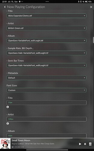 Screenshot_2024-07-13-22-51-18-800_volumio.browser.Volumio