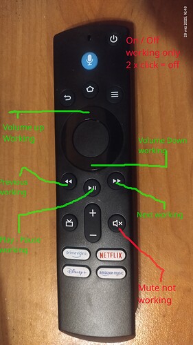 remote control
