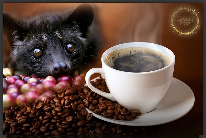 Screenshot_2026-03-14-16-44-44-01_40deb401b9ffe8e1df2f1cc5ba480b12