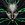 Didier_B - Frequent Poster
